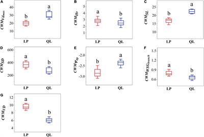 Strong Environmental Filtering Based on Hydraulic Traits Occurring in the Lower Water Availability of Temperate Forest Communities